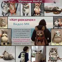 Кот-рюкзачок