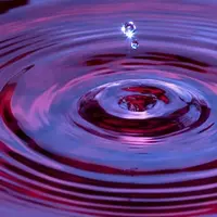 Эликсир магическая темная кровь