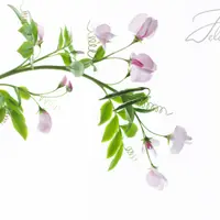 Душистый горошек из холодного фарфора