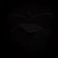 Gif Animated Neon Light Photoshop Action