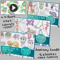 Anatomy complete bundle