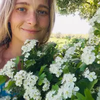 Мази: основы и потаённое