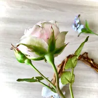 Винтажная роза из холодного фарфора