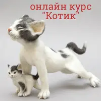 Котик