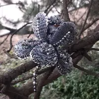 Вышивка. Брошь Ирис