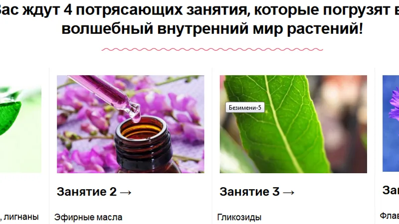 Фармакогнозия – учимся читать состав трав
