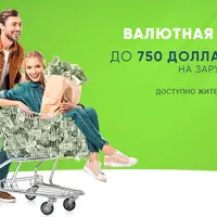 Валютная поддержка. До 750 долларов в месяц