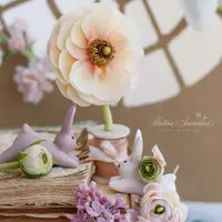 Ранункулюсы