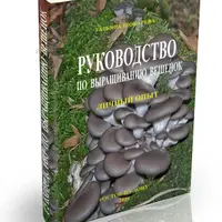 Руководство по выращиванию грибов Вешенок