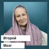 Кишечник-мозг! Где живет иммунитет?