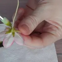 Цветы плодовых деревьев