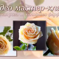 Чайная роза