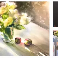 Белые цветы