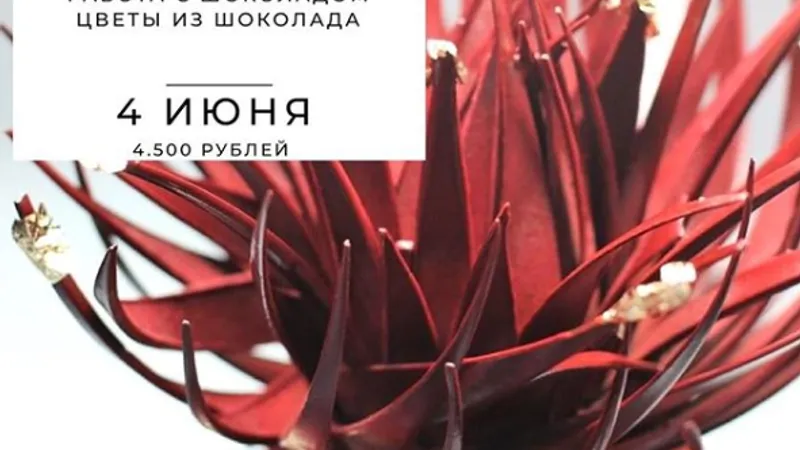 Работа с шоколадом. Цветы из шоколада