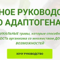 Полное руководство по адаптогенам