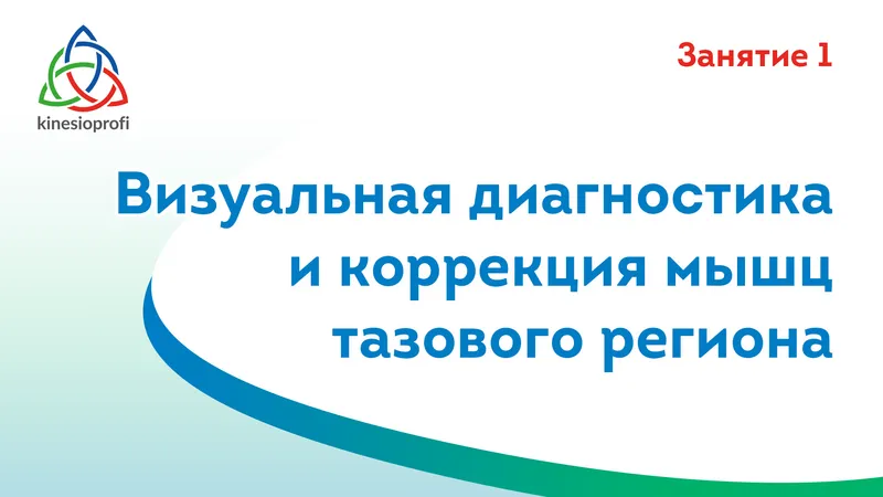 Визуальная диагностика и коррекция мышц тазового региона