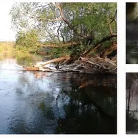 Летняя река