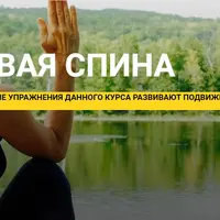 Здоровая спина