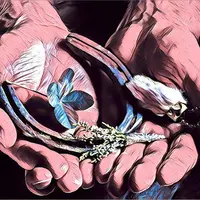 Автоматическое заземление, Резонанс Шумана, Привлечение удачи и счастья