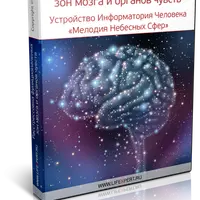 Расстрессовка функциональных зон мозга и органов чувств. Устройство Информатория Человека. Мелодия Небесных Сфер