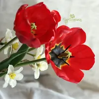 Красный тюльпан из холодного фарфора