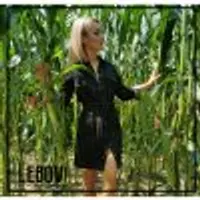 Джинсовое платье lebovi