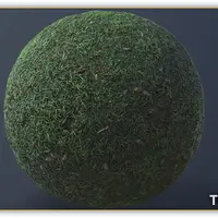 Substance Designer - Grass Video Tutorial