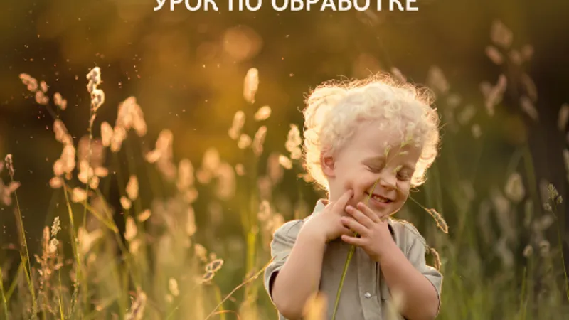 Кривые — это просто. Управление цветом
