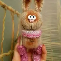 Описание зайка