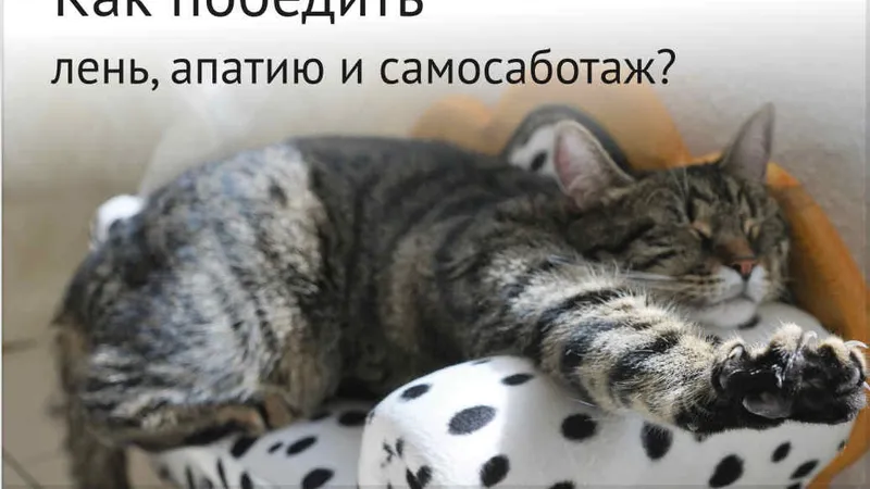 Как победить лень, апатию и самосаботаж