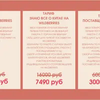 Освой Wildberries