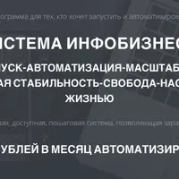 Система инфобизнеса