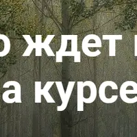 Основы ботаники