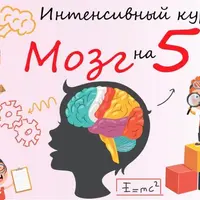 Мозг на 5+