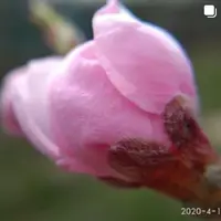 Продукты для увлажнения слизистой