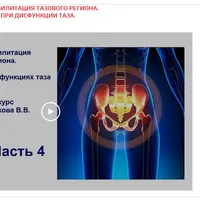 Физическая реабилитация тазового региона. Программа реабилитации при дисфункции таза