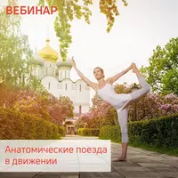 Анатомические поезда в движении