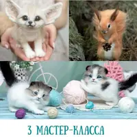 Белочка, фенек и котенок