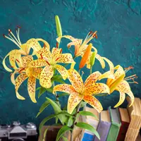 Тигровая лилия