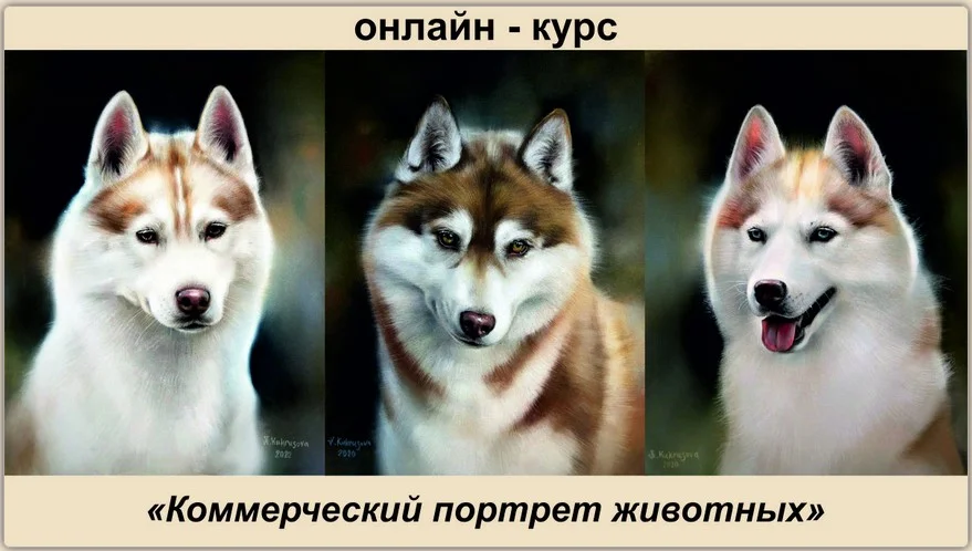 Обложка курса
