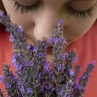 Домашняя аптечка