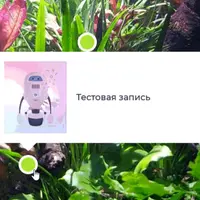 Webnavoz Dots - Интерактивные точки на изображениях