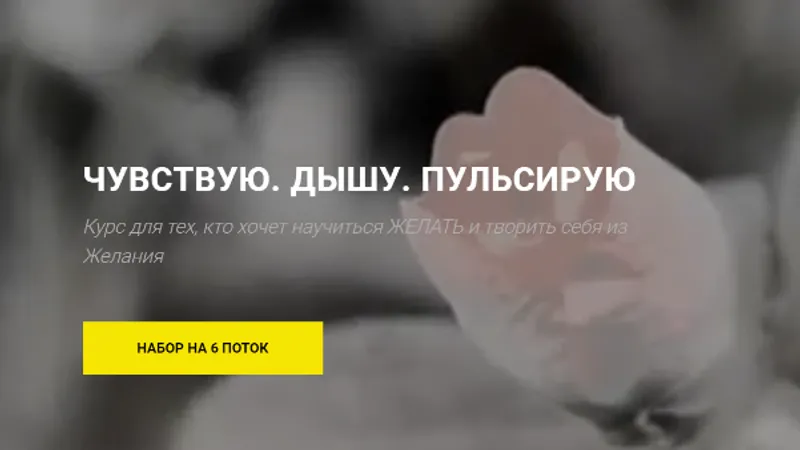 Чувствую Дышу Пульсирую