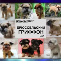 Брюссельский Гриффон. Мастер-класс по вязанию крючком