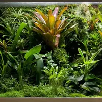 Флорариум - по тропинкам тропиков