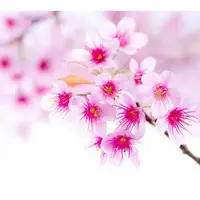 Женское состояние