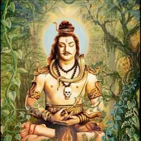 Раджа Йога. Внутренние практики йоги