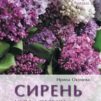 Сирень. Уход, обрезка, размножение, сорта