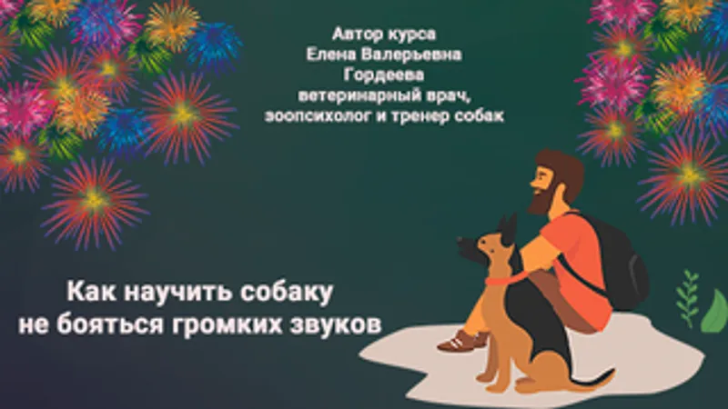 Как научить собаку не бояться громких звуков