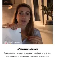 Газон и хвойные